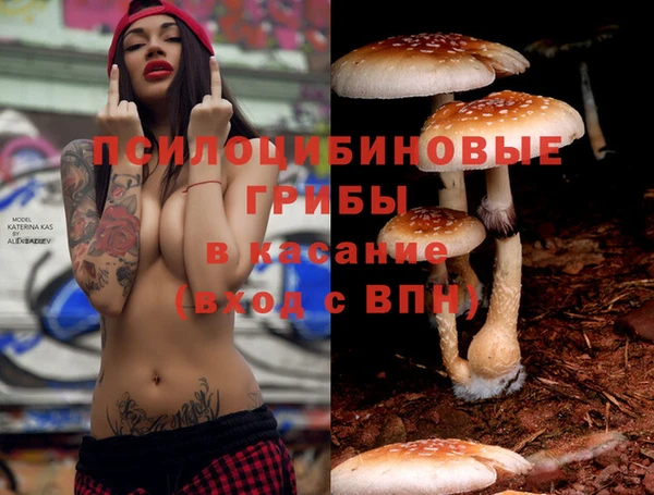 мескалин Новозыбков