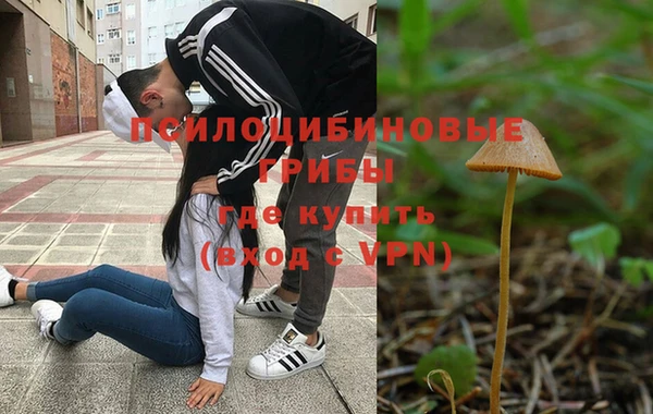 мескалин Новозыбков