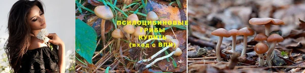 марки lsd Новодвинск