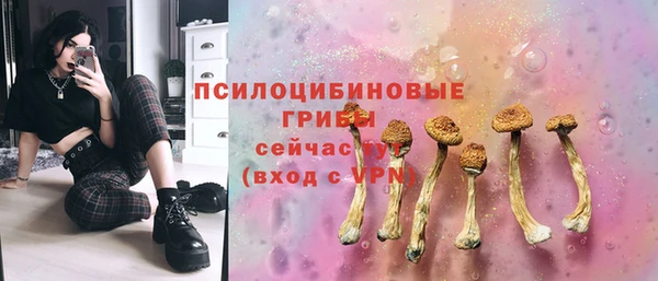 мескалин Новозыбков